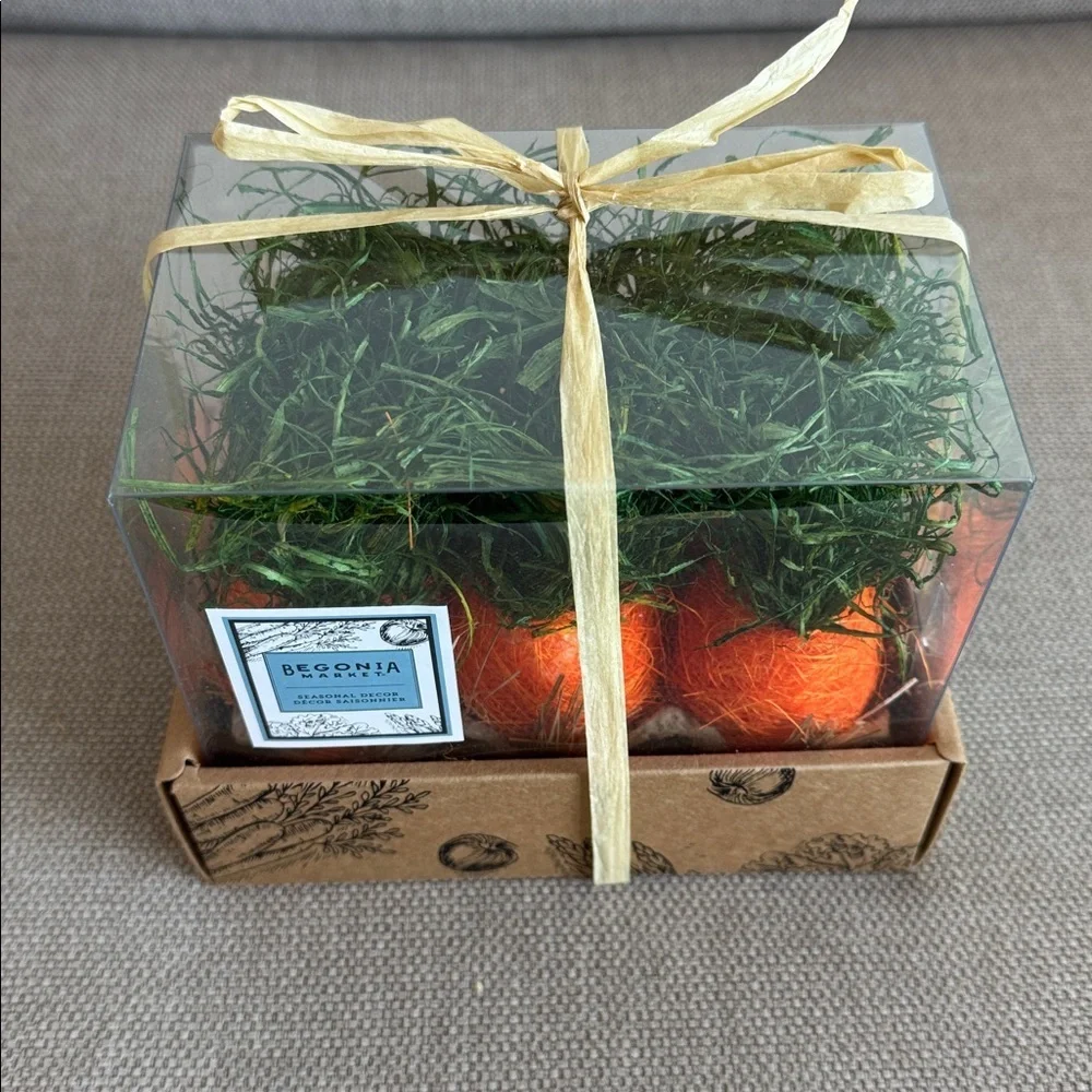 Begonia Market Carrots